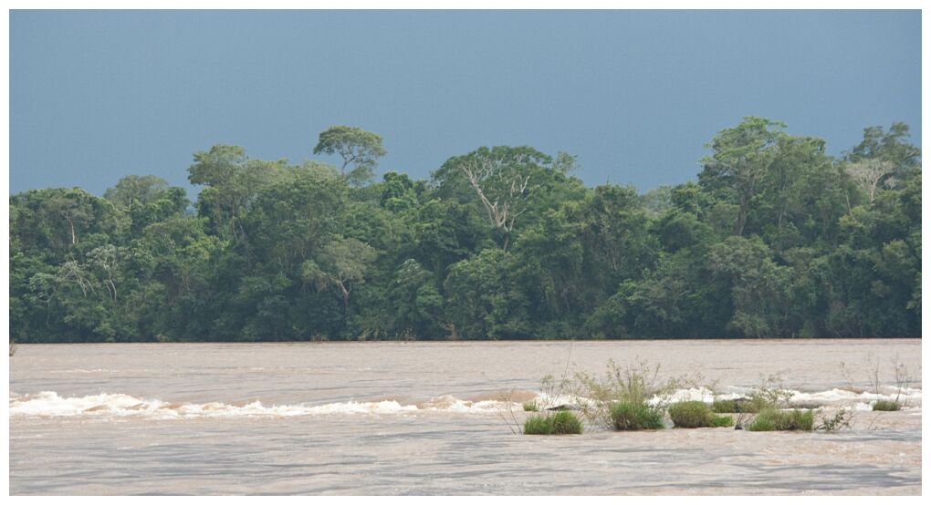 Cataratas de Iguaz