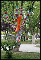 Arbol de Trelew