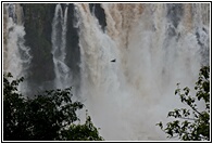 Cataratas de Iguaz