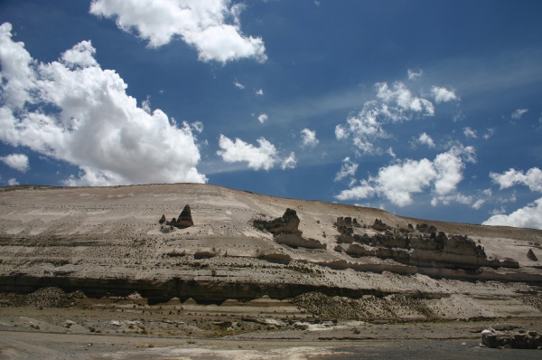 El bosque de piedra