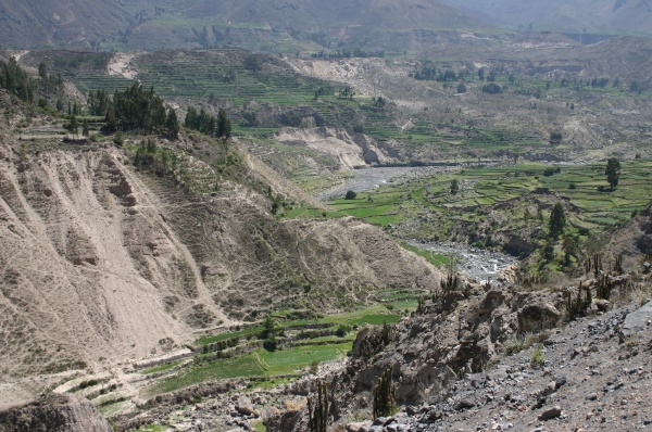 Caon del Colca