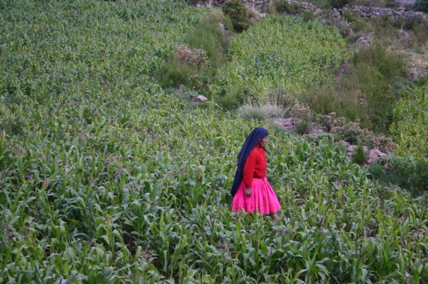 Campesina de Taquile