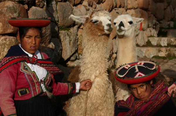 Nias y Alpacas