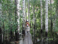 500 mts de puente