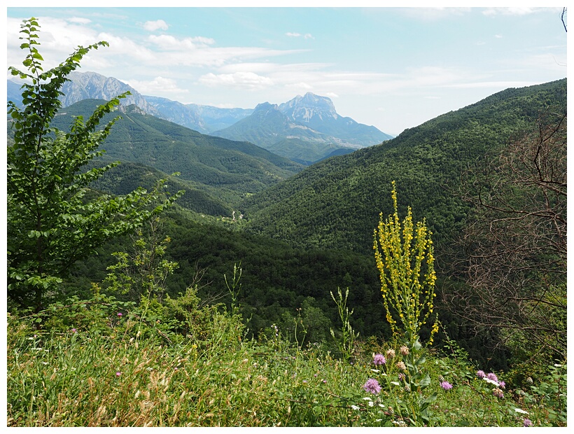 Valle de Vi