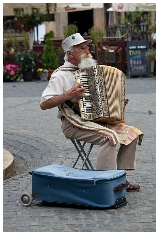 Accordionist