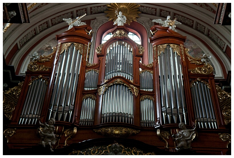 Organ