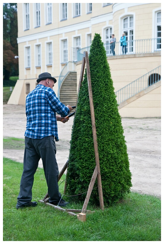 Cutting de Plants