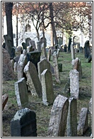 Old Jewish Cemetery