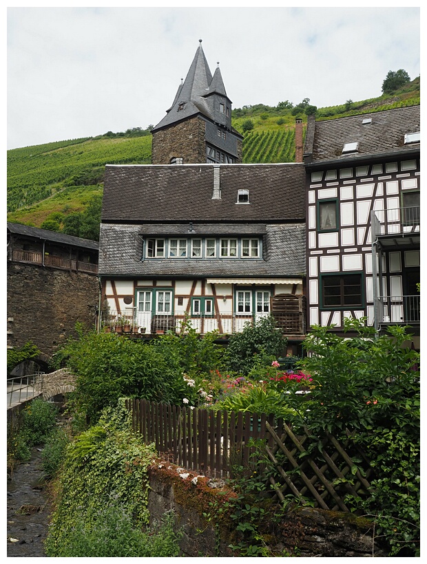 Bacharach