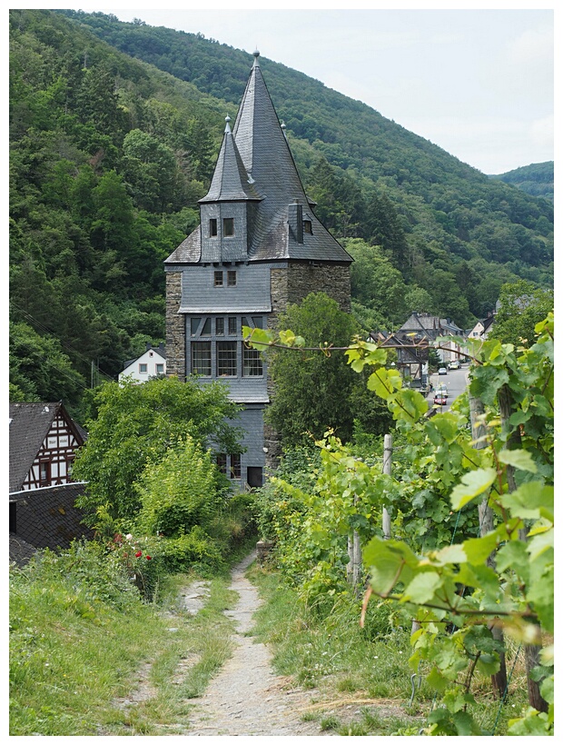 Bacharach