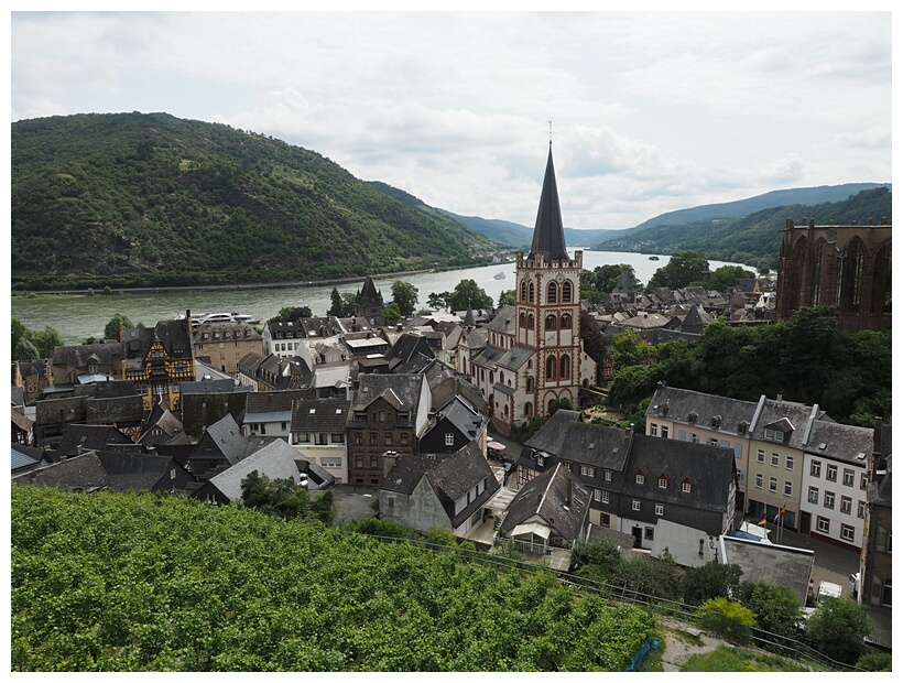 Bacharach