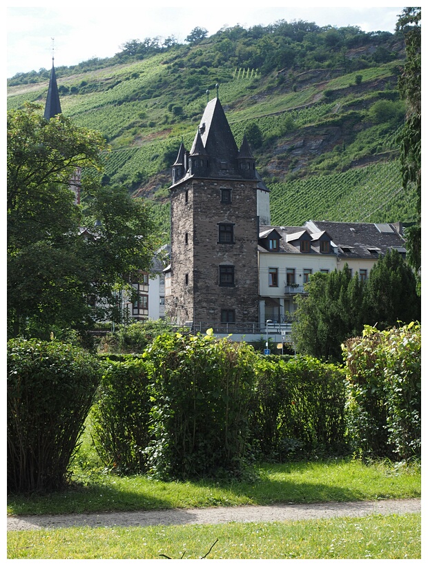 Bacharach