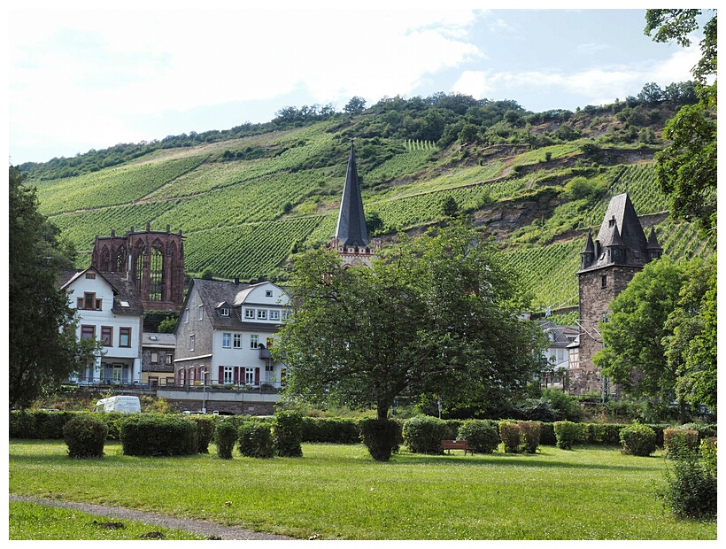 Bacharach