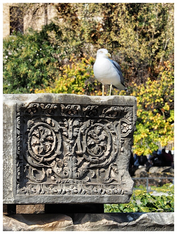 Roman Forum