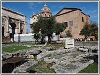 The Curia