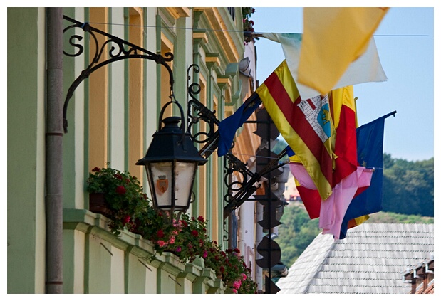 Flags on the Wind