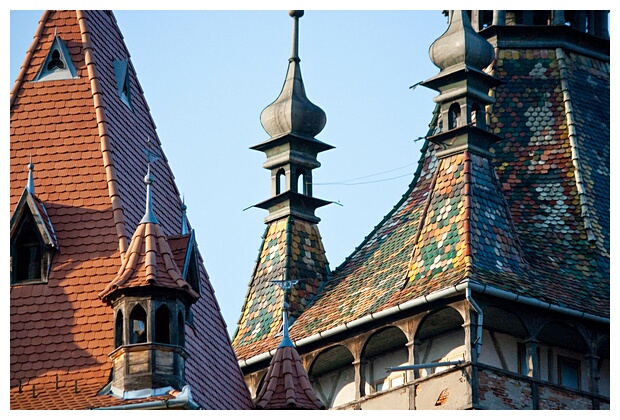 Sighisoara Roofs