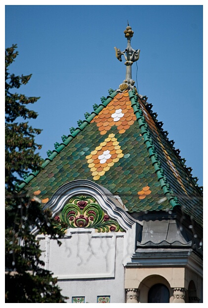 Coloured Roof