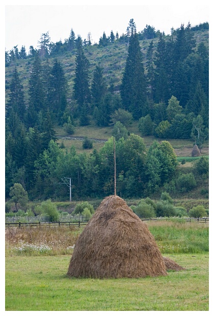 Moldavian Landscape