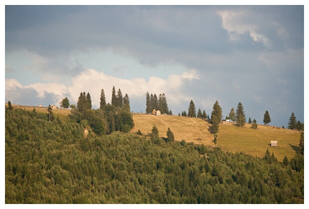 Bucovina Landscape