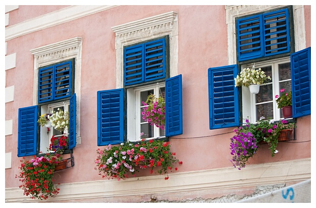 Quaint Windows