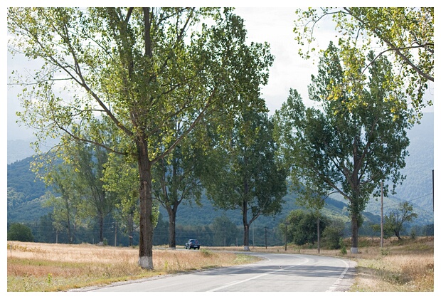 Fagaras Landscape