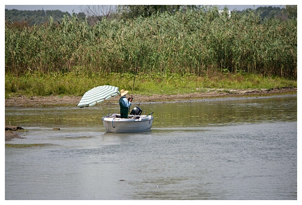 Sport Fishing