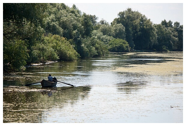 Fishing in the Danube