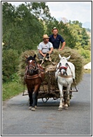 Horse-Drawn Cart