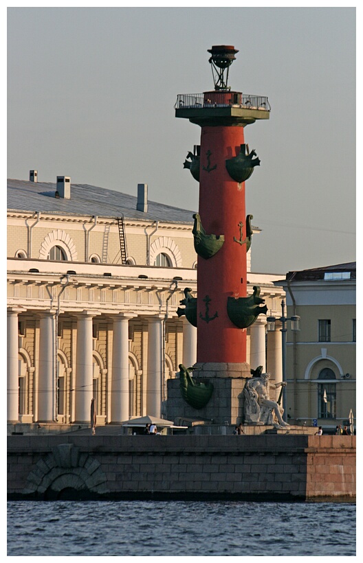 Rostral Columns