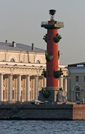 Rostral Columns