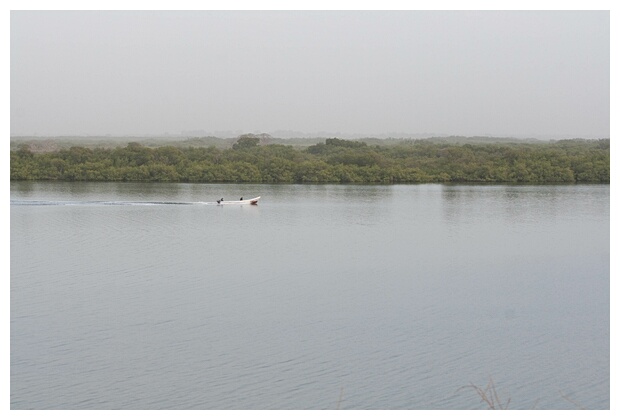 Parc National du Delta du Saloum