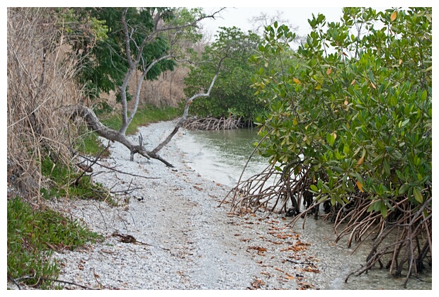 Shells Beach