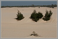 Sand Dunes