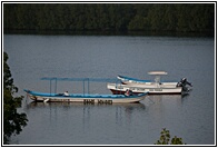 Boat Excursions