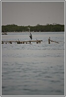 Joal-Fadiouth Marshland