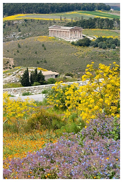 Panormica del Templo