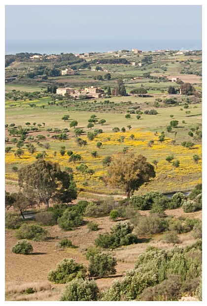 Campos de Agrigento