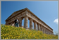 Segesta entre Flores