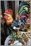 Gallo Siciliano