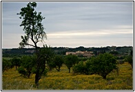 Paisaje Siciliano