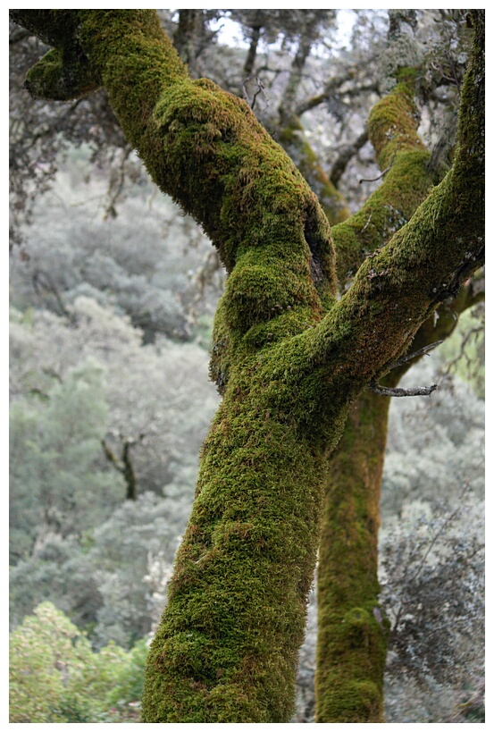 Parque Natural de las Batuecas