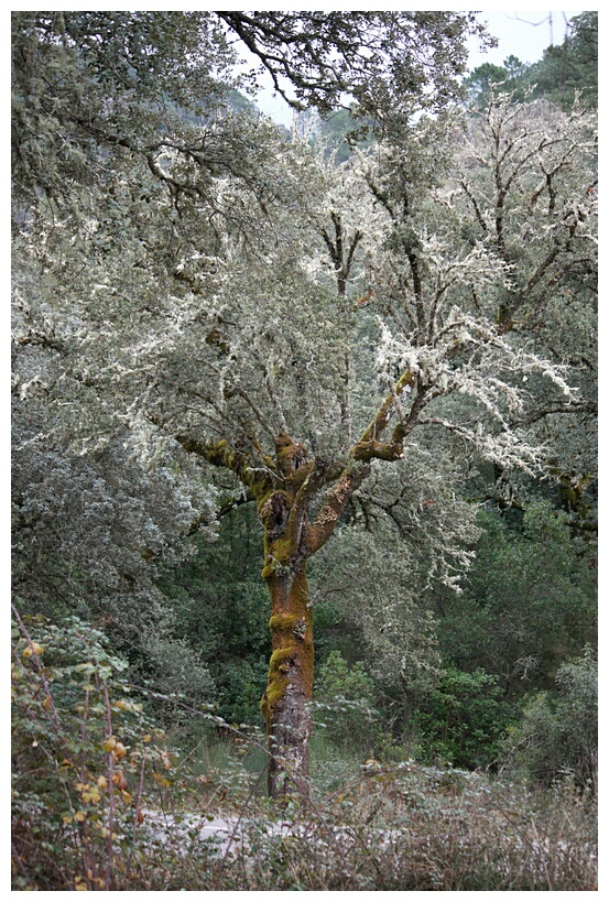 Valle de las Batuecas