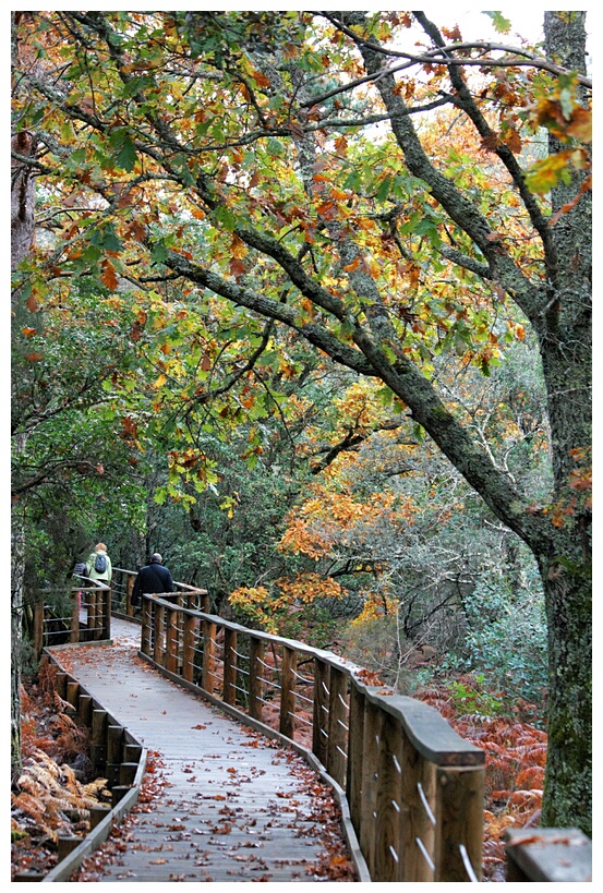 Parque Natural de las Batuecas