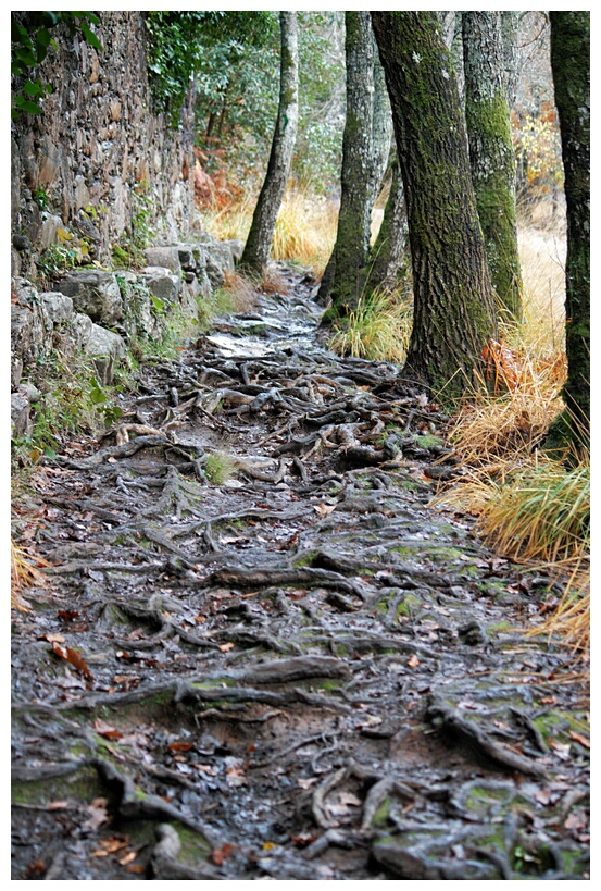 Valle de las Batuecas