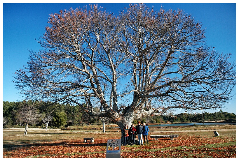 Castao de la Mata