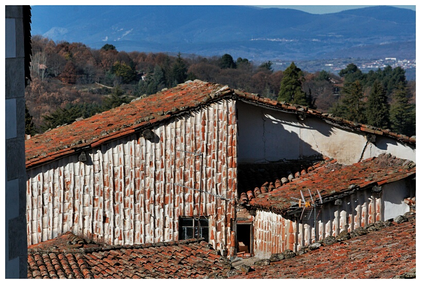 Candelario