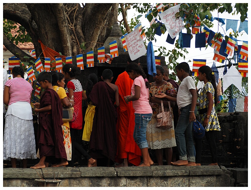 Around Bodhi Tree