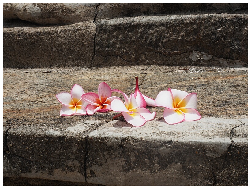 Offerings